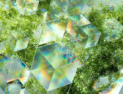 Validating Future-Ready Capability Requirements for Networks and Information Technology