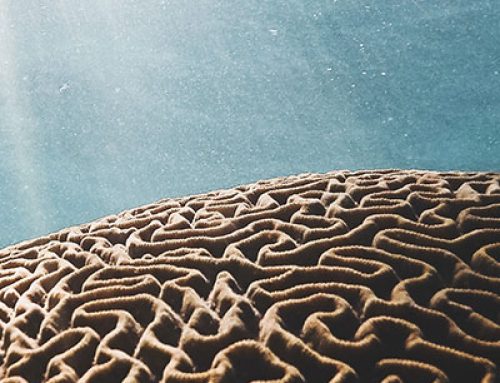 Systems Thinking & Simplification