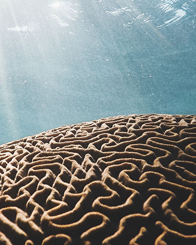 nn2 Systems Thinking & Simplification