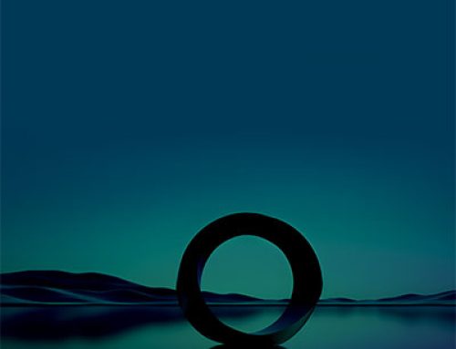 Capability Building and Organisational Adaptive Capacity