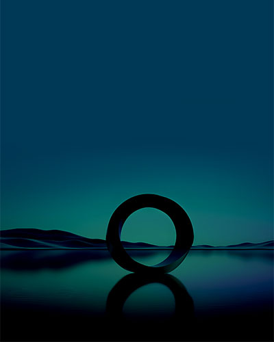 nn3 Capability Building and Organisational Adaptive Capacity