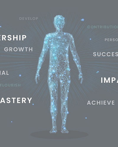 nn4 Capability Frameworks: From authoring to buy-in